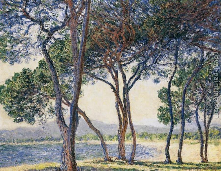 Claude Oscar Monet : Trees by the Seashore at Antibes